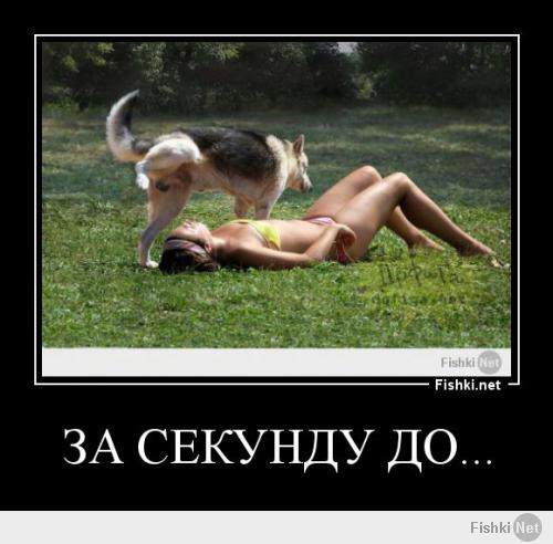 За секунду до...