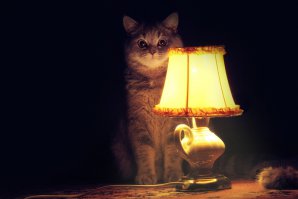Приятный сюрприз