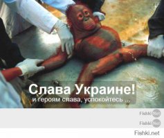 а дядя в дурке сидит