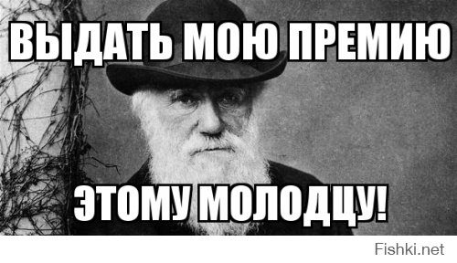 Плохая идея