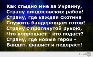 Солянка политическая #5
