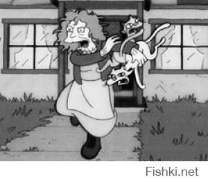первая мысль была - "щас кошками кидаться начнет..."
