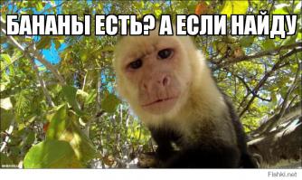 Картинки со смешными подписями