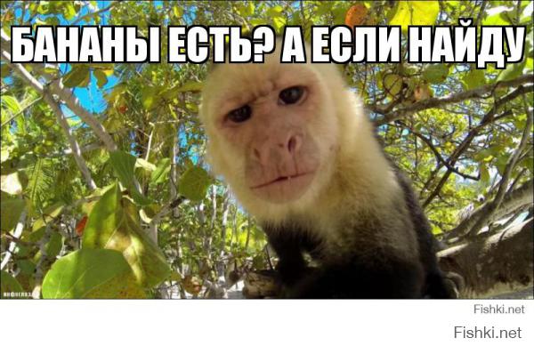 Картинки со смешными подписями