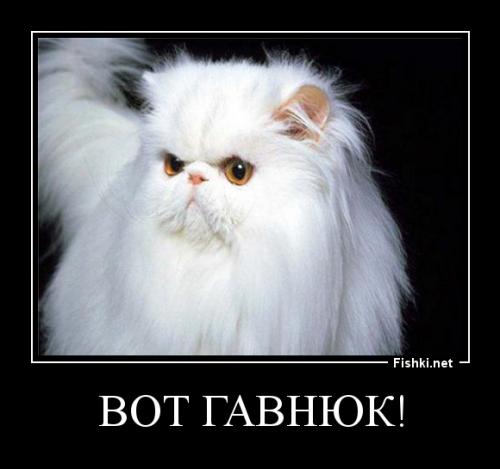 Кот и обезьяна (Играют на лавочке)