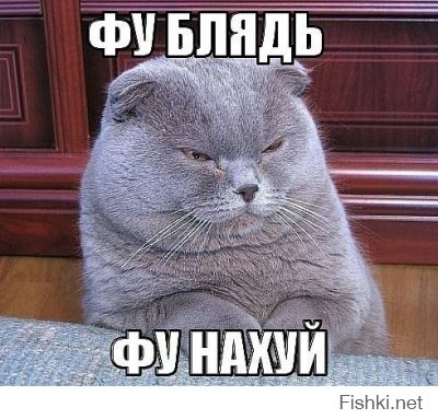 Малахов.Начало