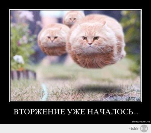 Фишкина солянка за 14.05.2014