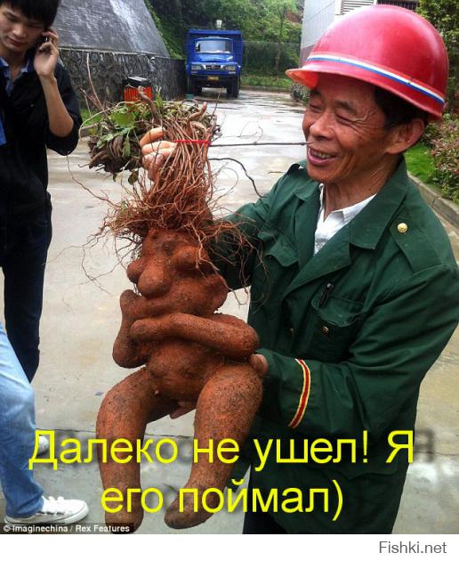 Я выросла, я ухожу