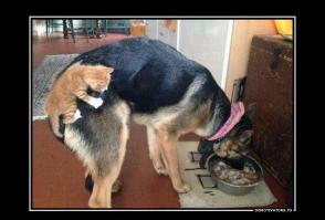 Обнимашки