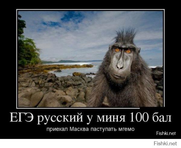 Картинки со смешными подписями