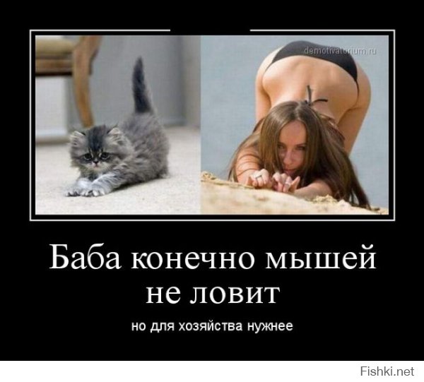 Прикольные картинки с надписями
