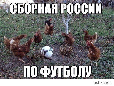 Прикольные картинки с надписями