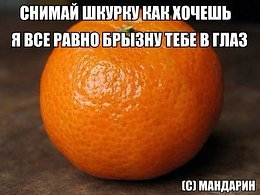 Прикольные картинки с надписями