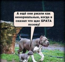 Я думаю, тебе нужна моя помощь!