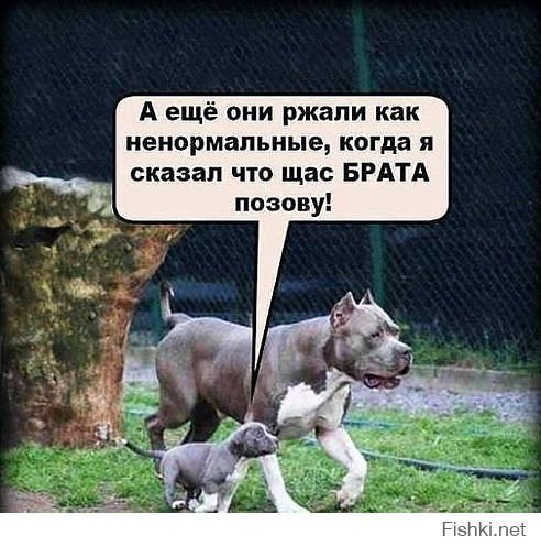 Я думаю, тебе нужна моя помощь!