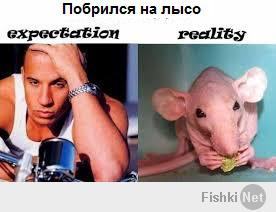 Ожидание и реальность