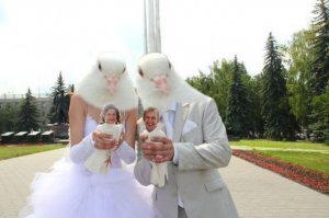 Ах эта свадьба, свадьба