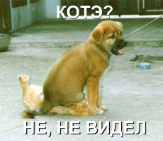 Картинки со смешными подписями