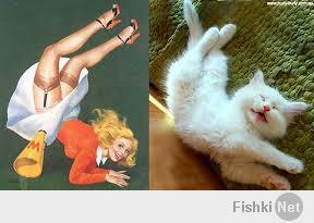 кошки vs девушки