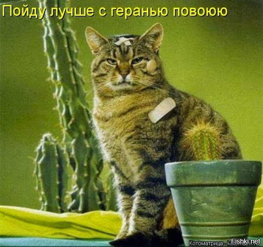 Он увидел солнце!