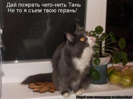 Он увидел солнце!