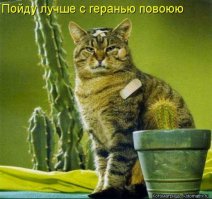 Он увидел солнце!