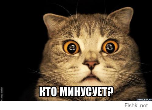 Фишкина солянка за 07.10.2014
