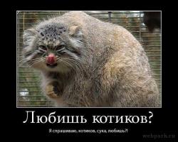 этому попробуйте сосиску предложить))