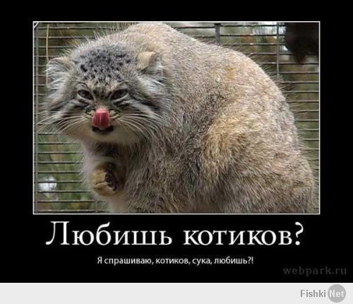 этому попробуйте сосиску предложить))