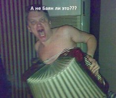 Никто так не может