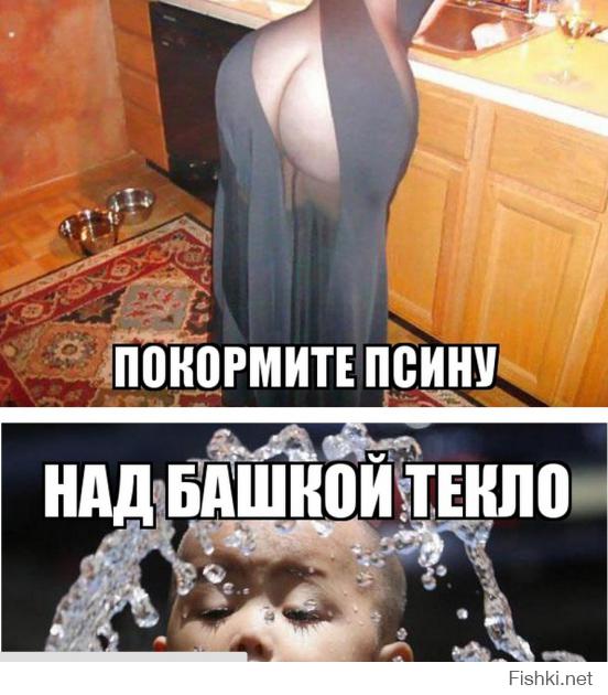 Прикольные картинки с комментариями