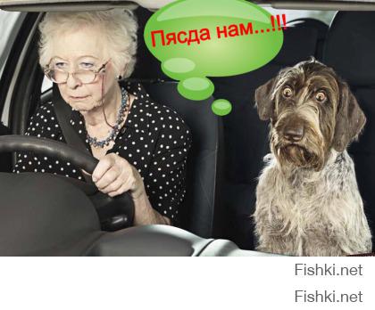 Немного автомобильного юмора