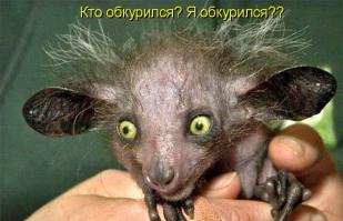 Я выросла, я ухожу