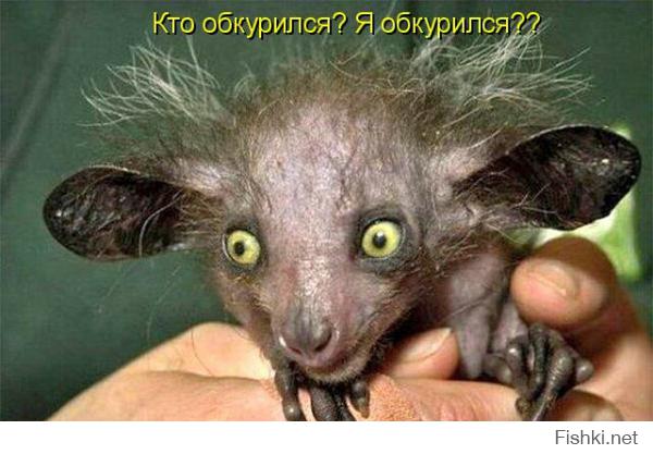 Я выросла, я ухожу