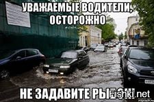 Гифки дня