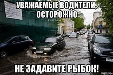 Гифки дня