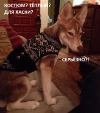 Когда на улице жуткий мороз
