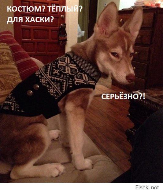 Когда на улице жуткий мороз