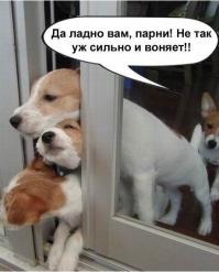 Картинки со смешными подписями