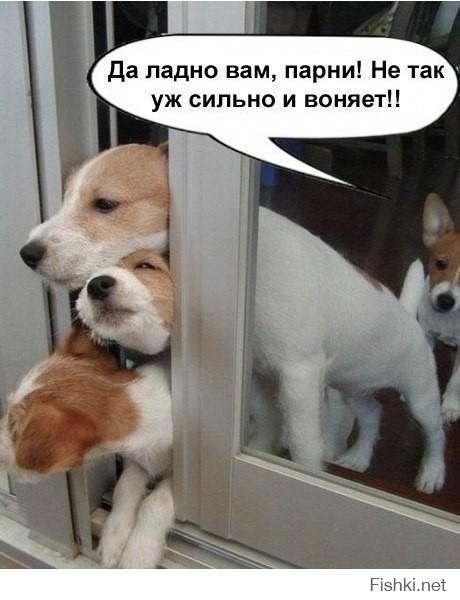 Картинки со смешными подписями