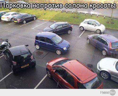 Фишкина солянка за 30.04.2014