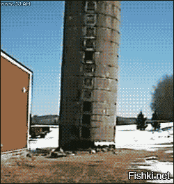 Гифки дня