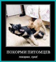Был пойман