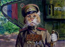 Кот-патриот