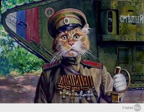 Кот-патриот