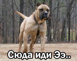 Я думаю, тебе нужна моя помощь!