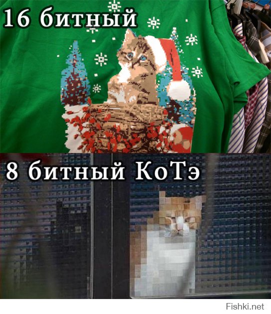 Я думаю, тебе нужна моя помощь!