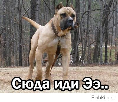 Я думаю, тебе нужна моя помощь!