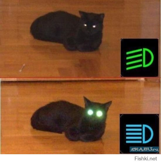 Я думаю, тебе нужна моя помощь!