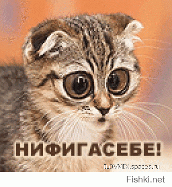 Самый лучший монтаж в книге Рекордов Гиннесса